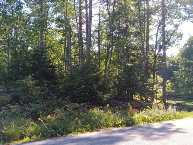 95 Walnut Hill Rd, Shapleigh, ME 04076
