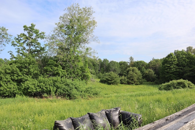 95 Wiley Rd, Greene, ME 04236 - view of yard with a forest view