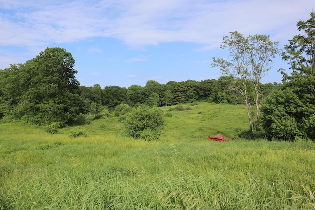 95 Wiley Rd, Greene, ME 04236 - view of tree filled area