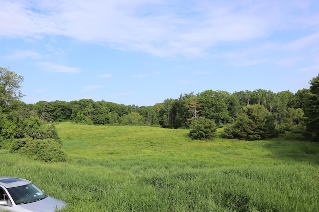 95 Wiley Rd, Greene, ME 04236 - view of tree filled area