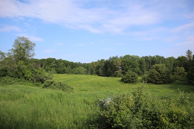 95 Wiley Rd, Greene, ME 04236 - view of woods