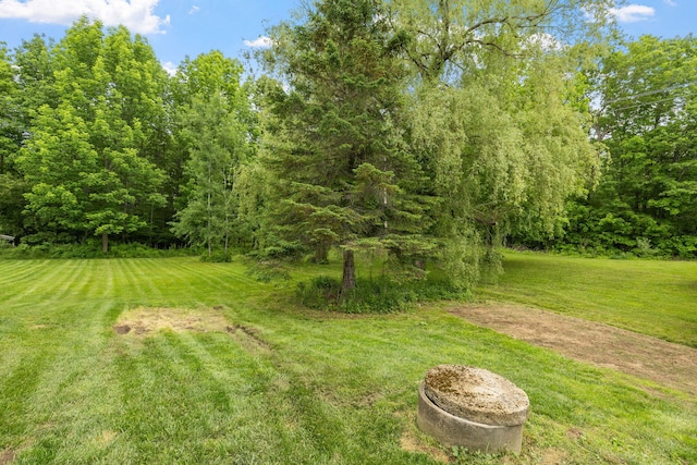 156 Lebanon Rd, North Berwick, ME 03906 - view of green lawn
