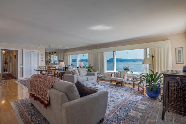 463 Seawall Rd, Southwest Harbor, ME 04679 - living area featuring track lighting, wood finished floors, and ornamental molding