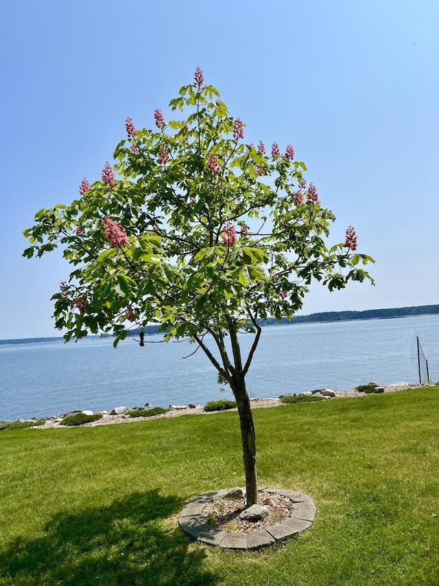 463 Seawall Rd, Southwest Harbor, ME 04679 - water view
