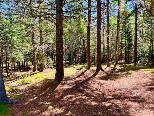 463 Seawall Rd, Southwest Harbor, ME 04679 - view of woods
