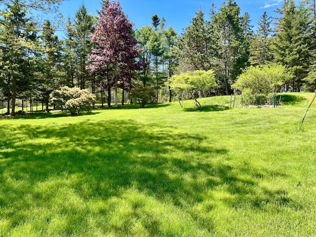 463 Seawall Rd, Southwest Harbor, ME 04679 - view of grassy yard