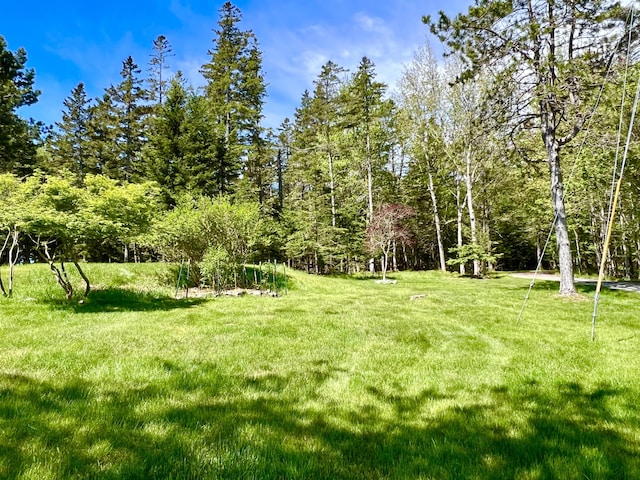 463 Seawall Rd, Southwest Harbor, ME 04679 - view of green lawn