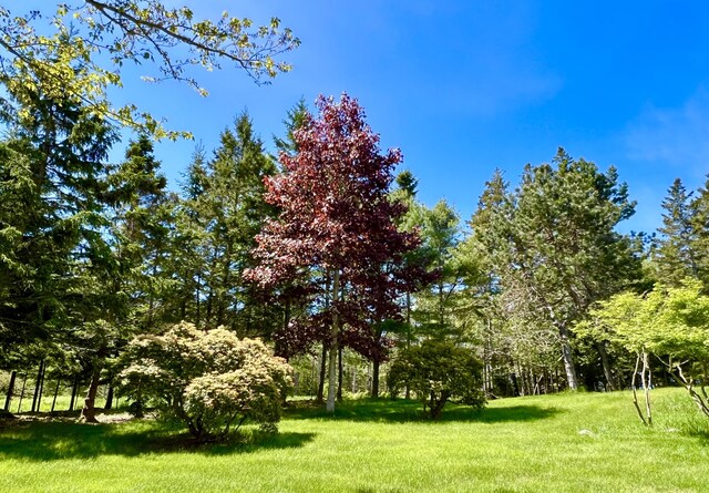 463 Seawall Rd, Southwest Harbor, ME 04679 - view of grassy yard