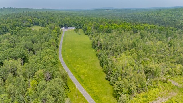 394 Frenchs Mills Rd, Sangerville, ME 04479 - photo 55