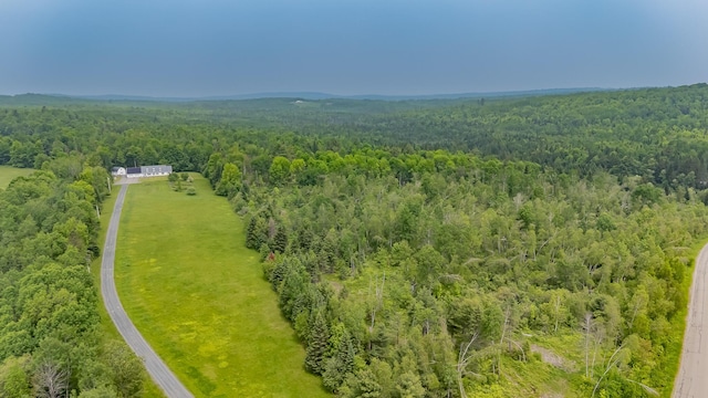 394 Frenchs Mills Rd, Sangerville, ME 04479 - photo 57
