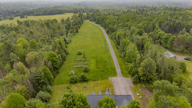 394 Frenchs Mills Rd, Sangerville, ME 04479 - photo 63