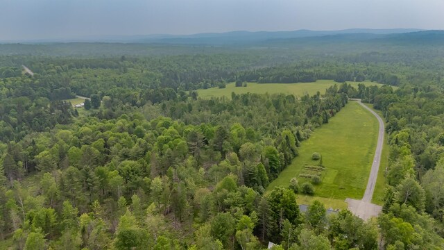 394 Frenchs Mills Rd, Sangerville, ME 04479 - photo 65