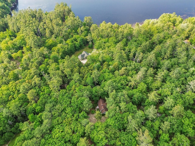 21 Heritage Ln, Orland, ME 04472 - aerial view of property's location featuring a heavily wooded area