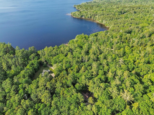 21 Heritage Ln, Orland, ME 04472 - aerial overview of property's location featuring a forest and a nearby body of water