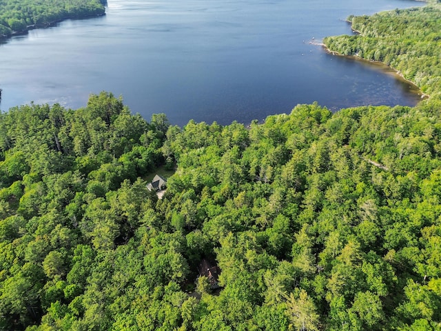 21 Heritage Ln, Orland, ME 04472 - aerial overview of property's location featuring a large body of water and a forest