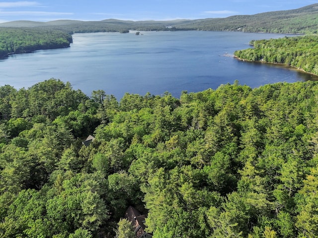 21 Heritage Ln, Orland, ME 04472 - water view featuring a forest