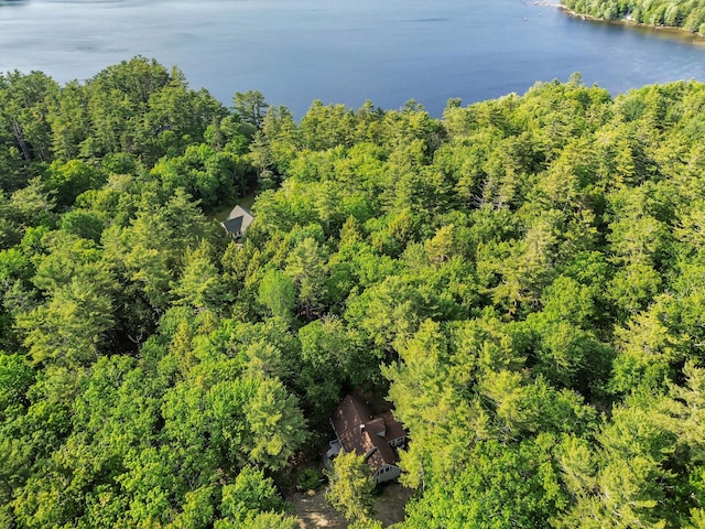 21 Heritage Ln, Orland, ME 04472 - aerial view of property and surrounding area with a nearby body of water and a forest