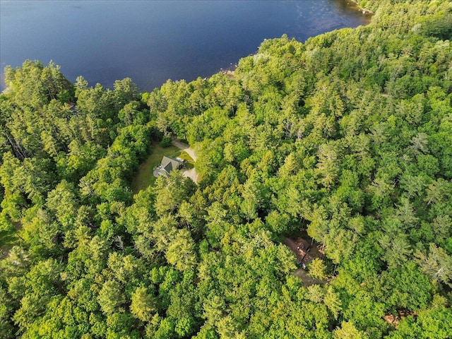 21 Heritage Ln, Orland, ME 04472 - view of property location with a forest and a large body of water