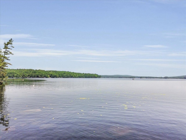 21 Heritage Ln, Orland, ME 04472 - water view