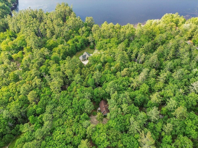 21 Heritage Ln, Orland, ME 04472 - view of property location with a forest