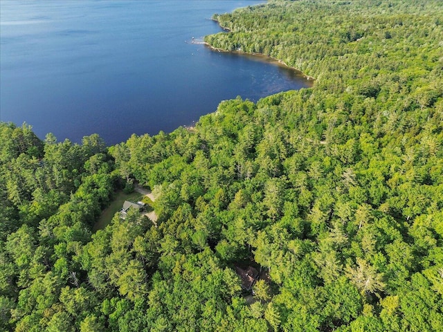 21 Heritage Ln, Orland, ME 04472 - aerial view of property's location with a forest and a large body of water
