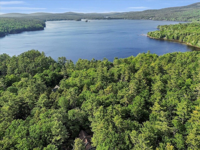 21 Heritage Ln, Orland, ME 04472 - water view with a forest