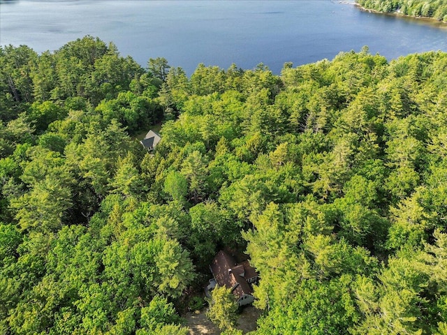 21 Heritage Ln, Orland, ME 04472 - aerial view of property and surrounding area featuring a nearby body of water and a heavily wooded area