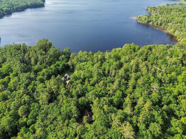 21 Heritage Ln, Orland, ME 04472 - aerial overview of property's location with a large body of water and a heavily wooded area