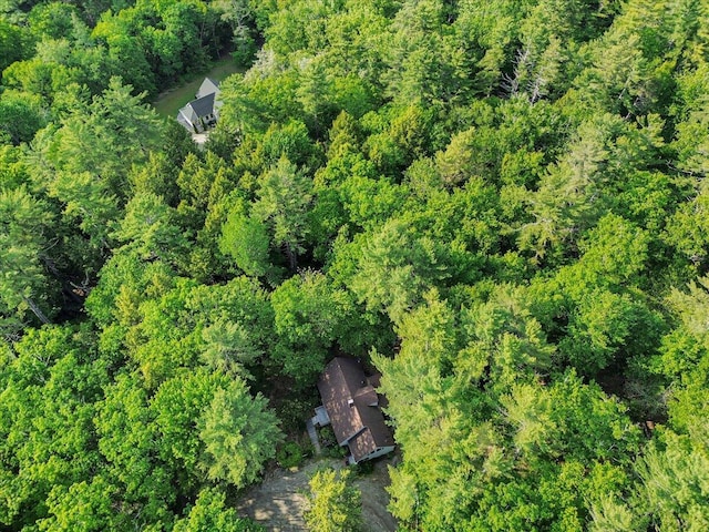 21 Heritage Ln, Orland, ME 04472 - aerial view of property and surrounding area with a forest