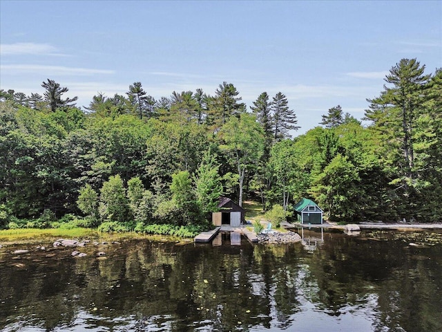 21 Heritage Ln, Orland, ME 04472 - water view with a heavily wooded area and a boat dock