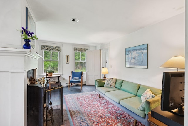 168 S Rd, Chebeague Island, ME 04017 - living room featuring wood finished floors, baseboard heating, and a fireplace