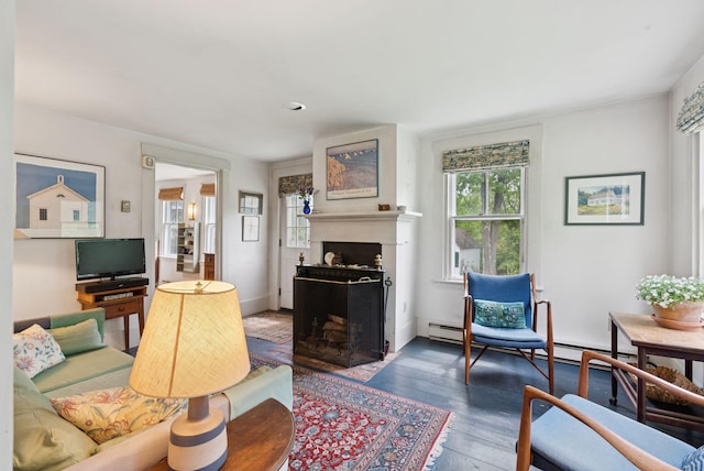 168 S Rd, Chebeague Island, ME 04017 - living area with a fireplace with flush hearth and wood-type flooring