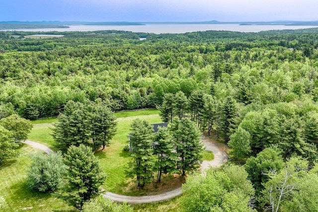 60 Cobb Rd, Belfast, ME 04915 - aerial view of a forest