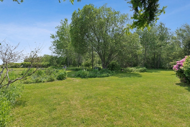 184 John Small Rd, Chebeague Island, ME 04017 - photo 14