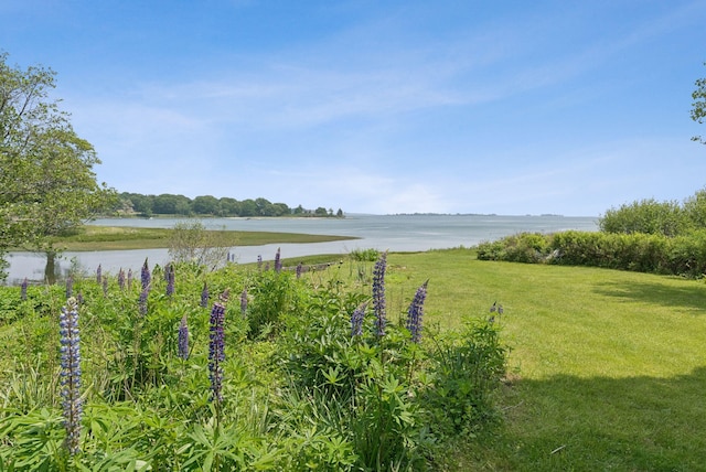 184 John Small Rd, Chebeague Island, ME 04017 - photo 10