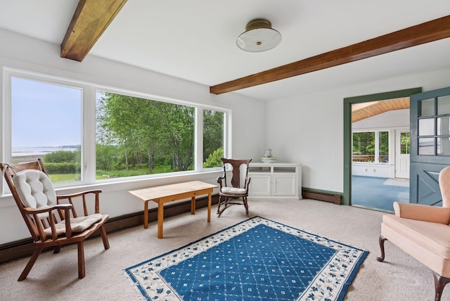 184 John Small Rd, Chebeague Island, ME 04017 - photo 23
