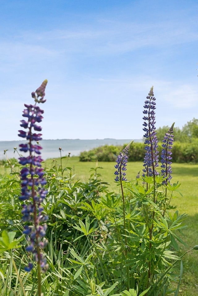184 John Small Rd, Chebeague Island, ME 04017 - photo 42