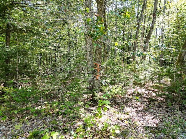 LOT32 Bearce Rd, Lakeville, ME 04487 - photo 8