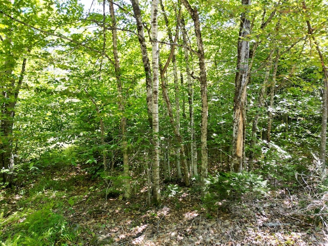 LOT32 Bearce Rd, Lakeville, ME 04487 - photo 9