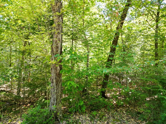 LOT32 Bearce Rd, Lakeville, ME 04487 - photo 11
