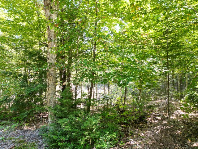 LOT32 Bearce Rd, Lakeville, ME 04487 - photo 12