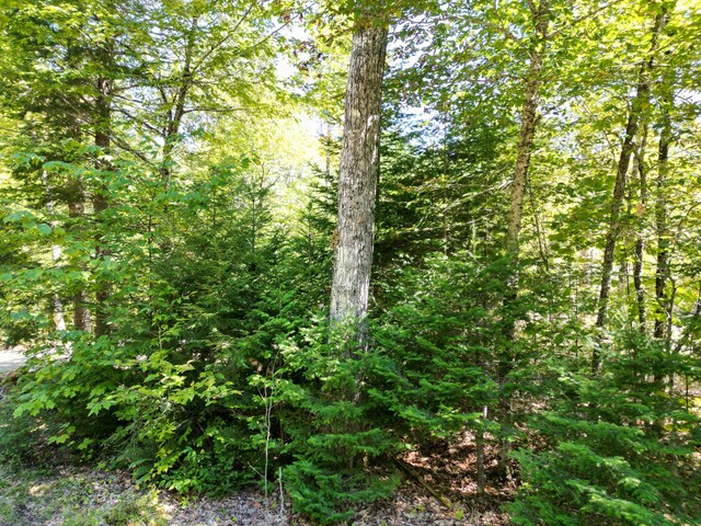 LOT32 Bearce Rd, Lakeville, ME 04487 - photo 13