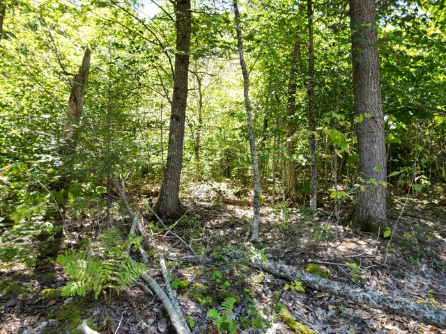 LOT32 Bearce Rd, Lakeville, ME 04487 - photo 14