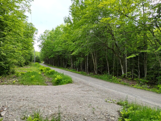 LOT32 Bearce Rd, Lakeville, ME 04487 - photo 1