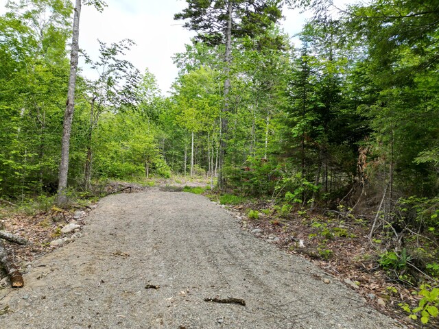 LOT32 Bearce Rd, Lakeville, ME 04487 - photo 2