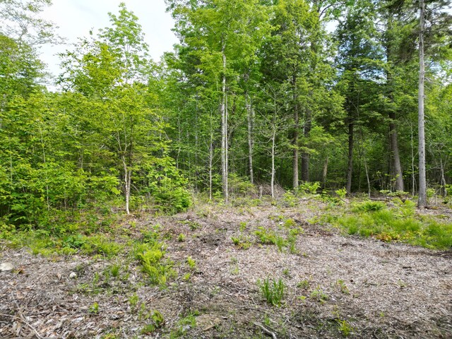 LOT32 Bearce Rd, Lakeville, ME 04487 - photo 3