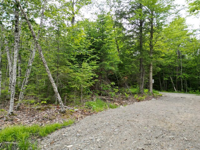 LOT32 Bearce Rd, Lakeville, ME 04487 - photo 4