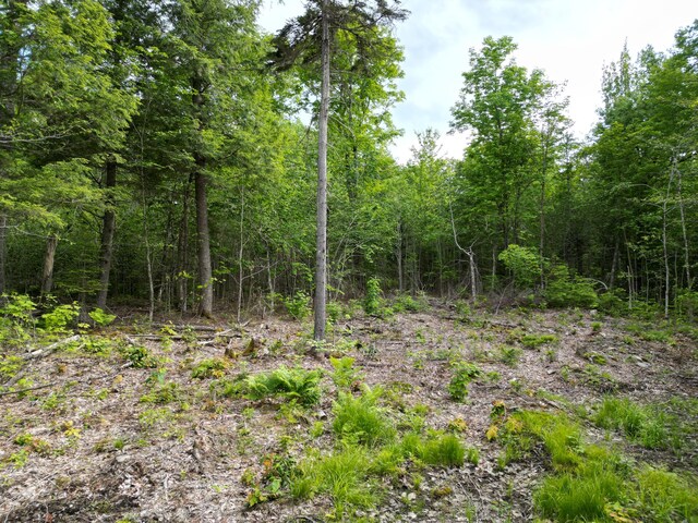 LOT32 Bearce Rd, Lakeville, ME 04487 - photo 5