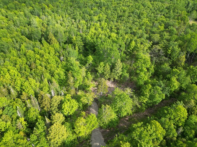 LOT32 Bearce Rd, Lakeville, ME 04487 - photo 6