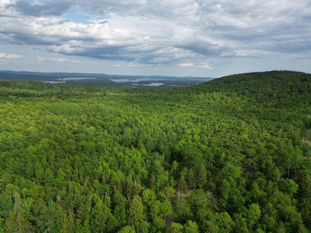 LOT32 Bearce Rd, Lakeville, ME 04487 - photo 7